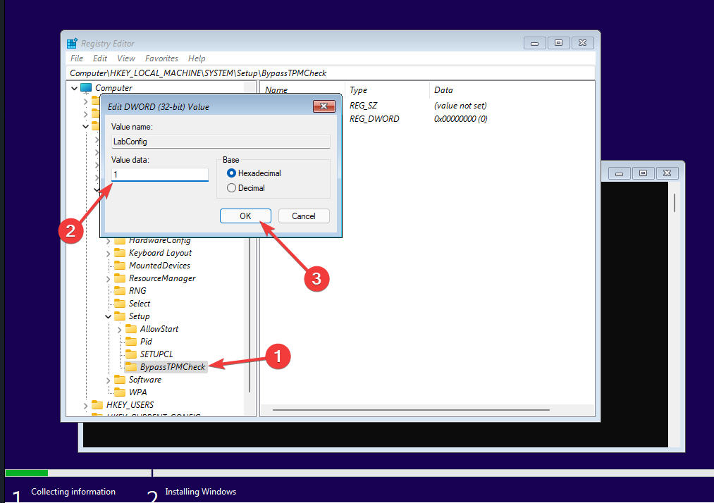 Bypassing TPM check with Registry