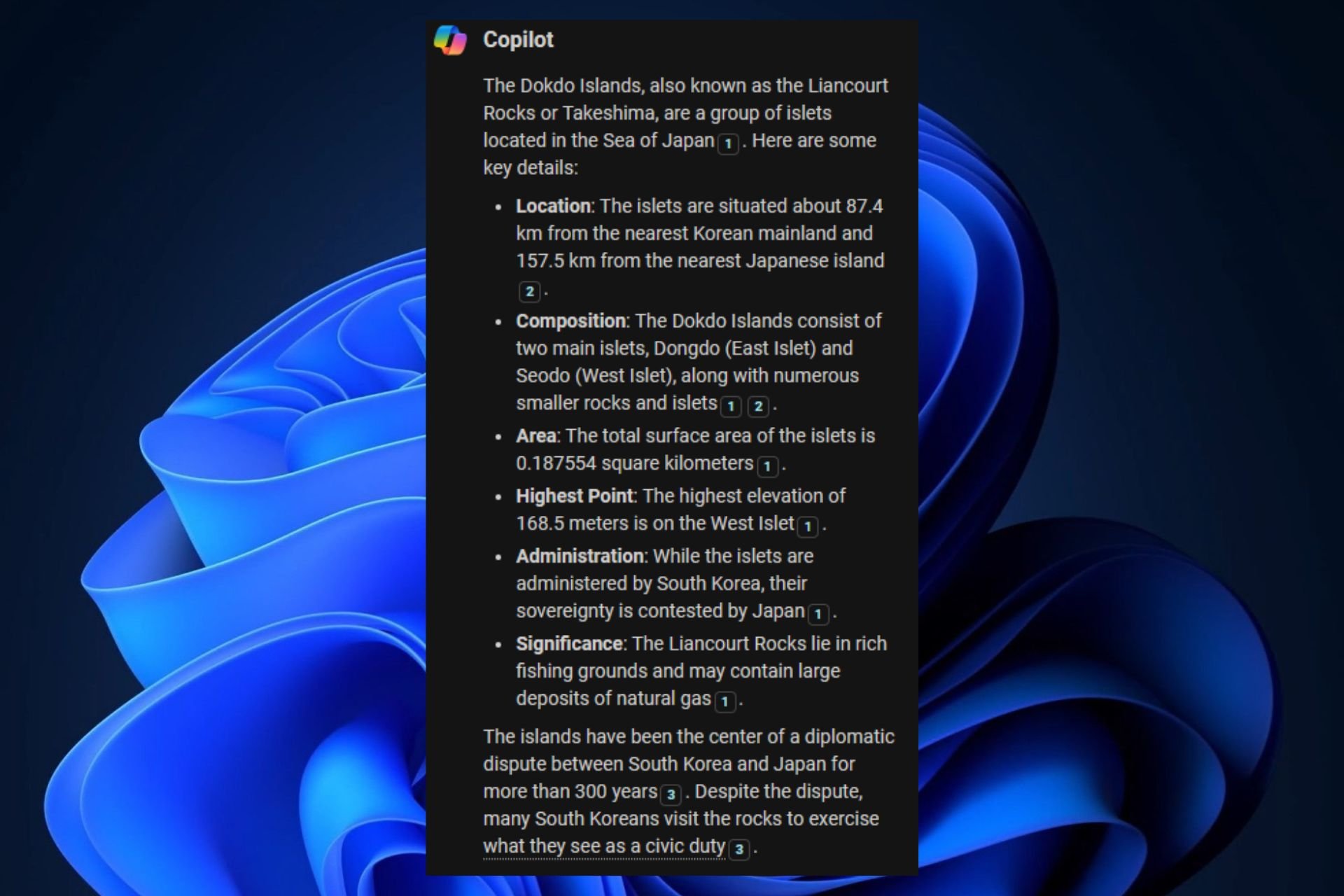 Microsoft Copilot dokdo