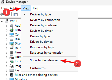show hidden devices device manager windows 11