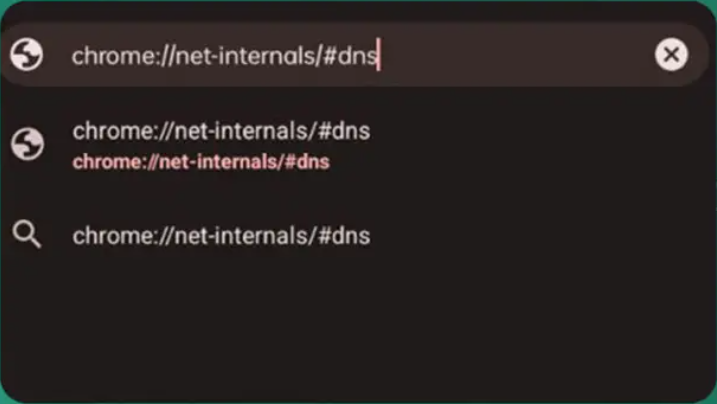 크롬 내부 DNS