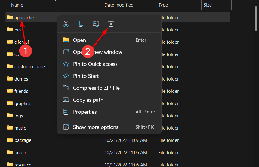 appcache-delete steam game launches then closes