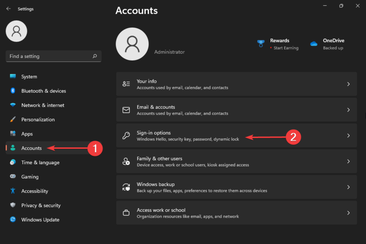 anmeldeoptionen windows 11