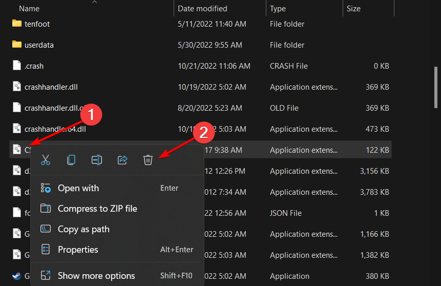 delete-steam-file steam game launches then closes