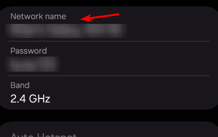 network name