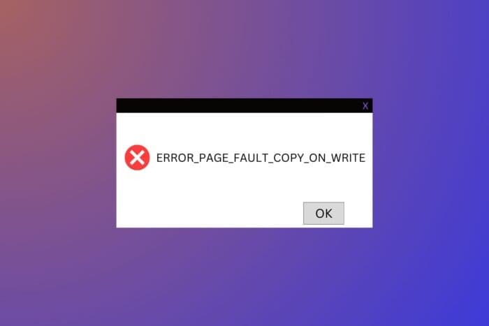 ERROR_PAGE_FAULT_COPY_ON_WRITE