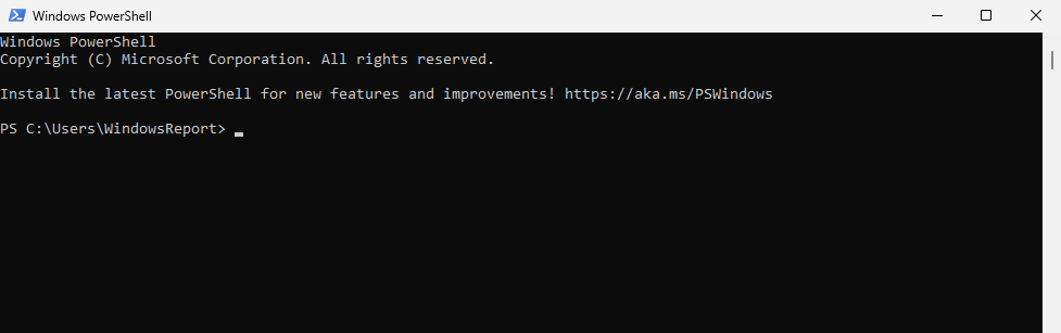PowerShell-Fenster geöffnet