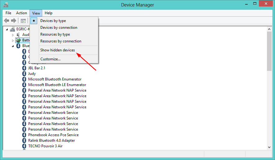 click to show hidden devices in device manager